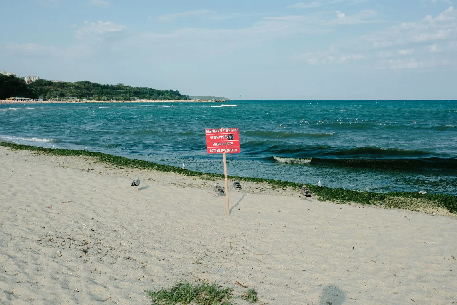 Quiet sandy beach and calm sea on the Bulgarian Black Sea coast. Photo by Ramon Karolan.