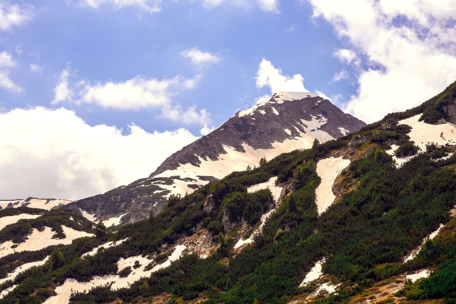 Snow-covered peaks in Pirin National Park, Bulgaria. Photo by Svetla Фотопавилион.